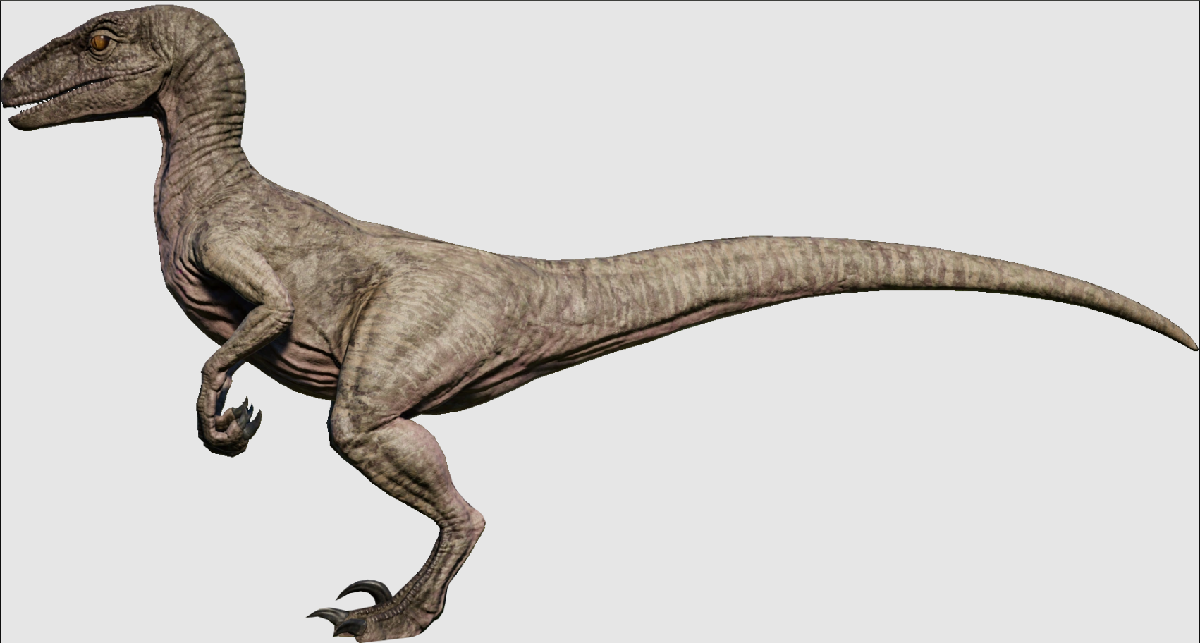 Slika Velociraptorja